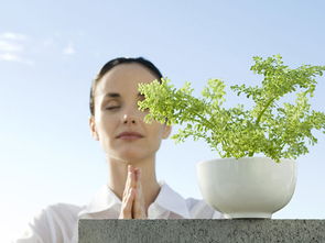 媒體曝光致明德產品創(chuàng)行業(yè)先河，引領中醫(yī)養(yǎng)生保健服務新潮流